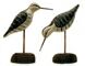 Shore Bird Decoys