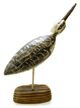 snipe Hand Carved Shore Bird Decoy