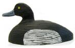 broadbill Hand Carved wood Decoy