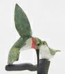 hummingbird wood carving, folk art